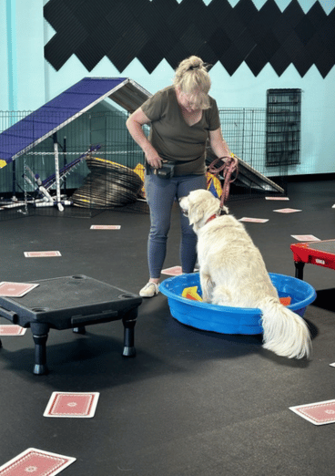White Small dog standing with front paws on inflated bone shaped obstacle